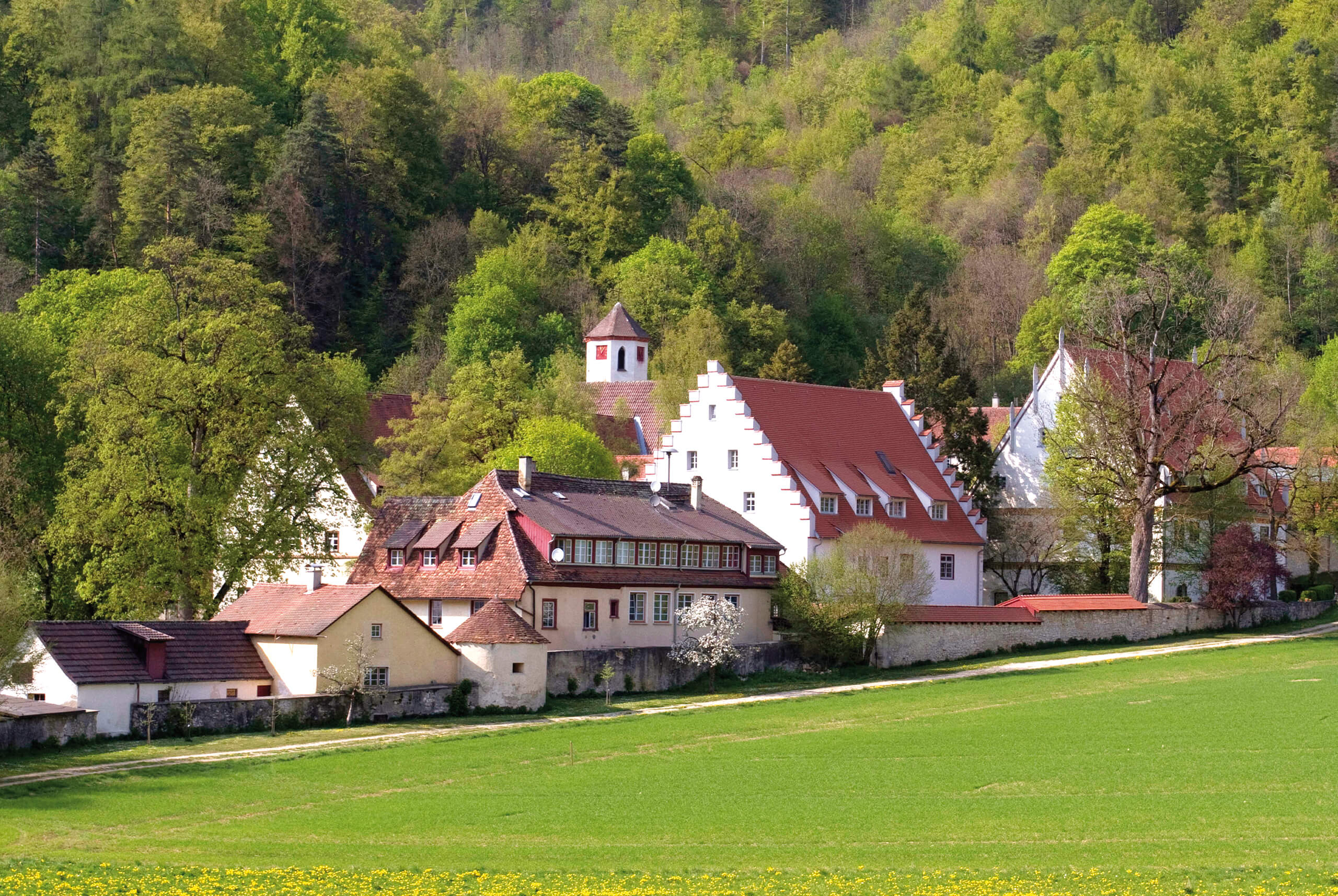 Urspringschule